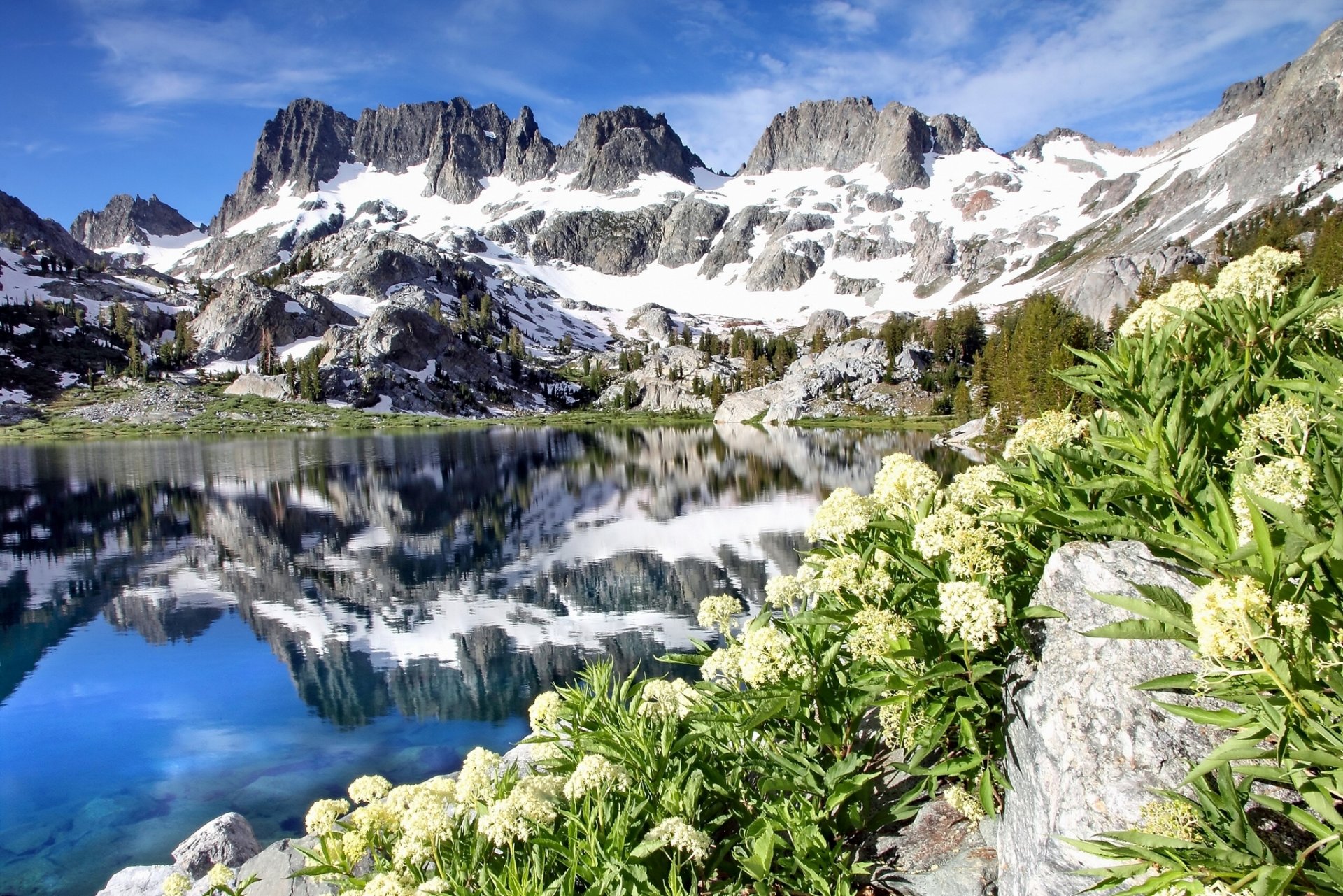 ediza lake ansel adams wilderness kalifornia minarety jezioro góry odbicie kwiaty