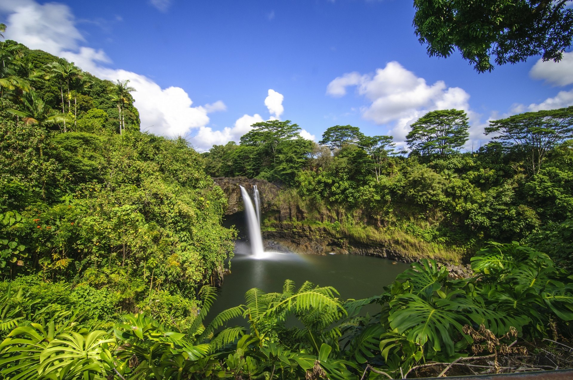 rainbow falls hilo hawaii waterfall forest tropic