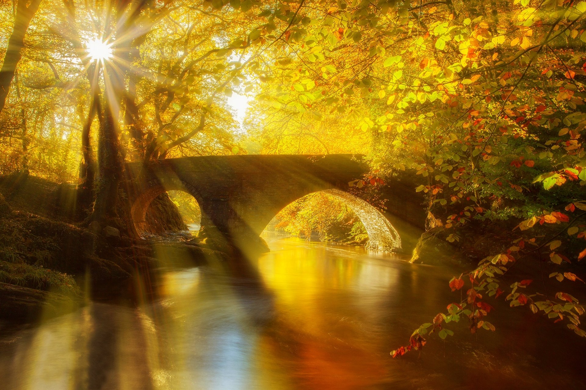 hojas parque callejón árboles bosque otoño paseo hdr naturaleza río agua ver caída puente reflexión vista