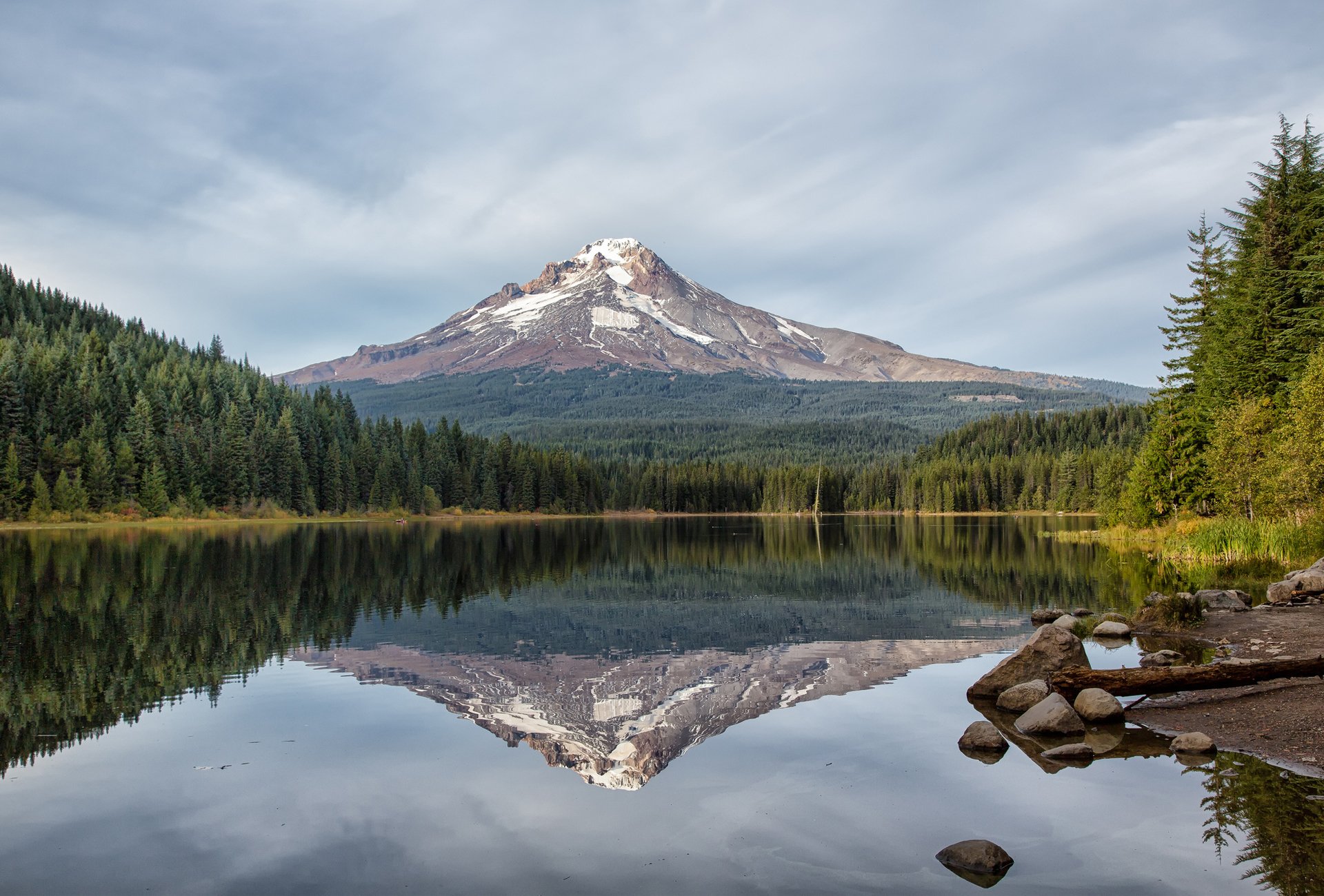 lago montagna riflessione foresta abete rosso conifere natura trillium lago oregon