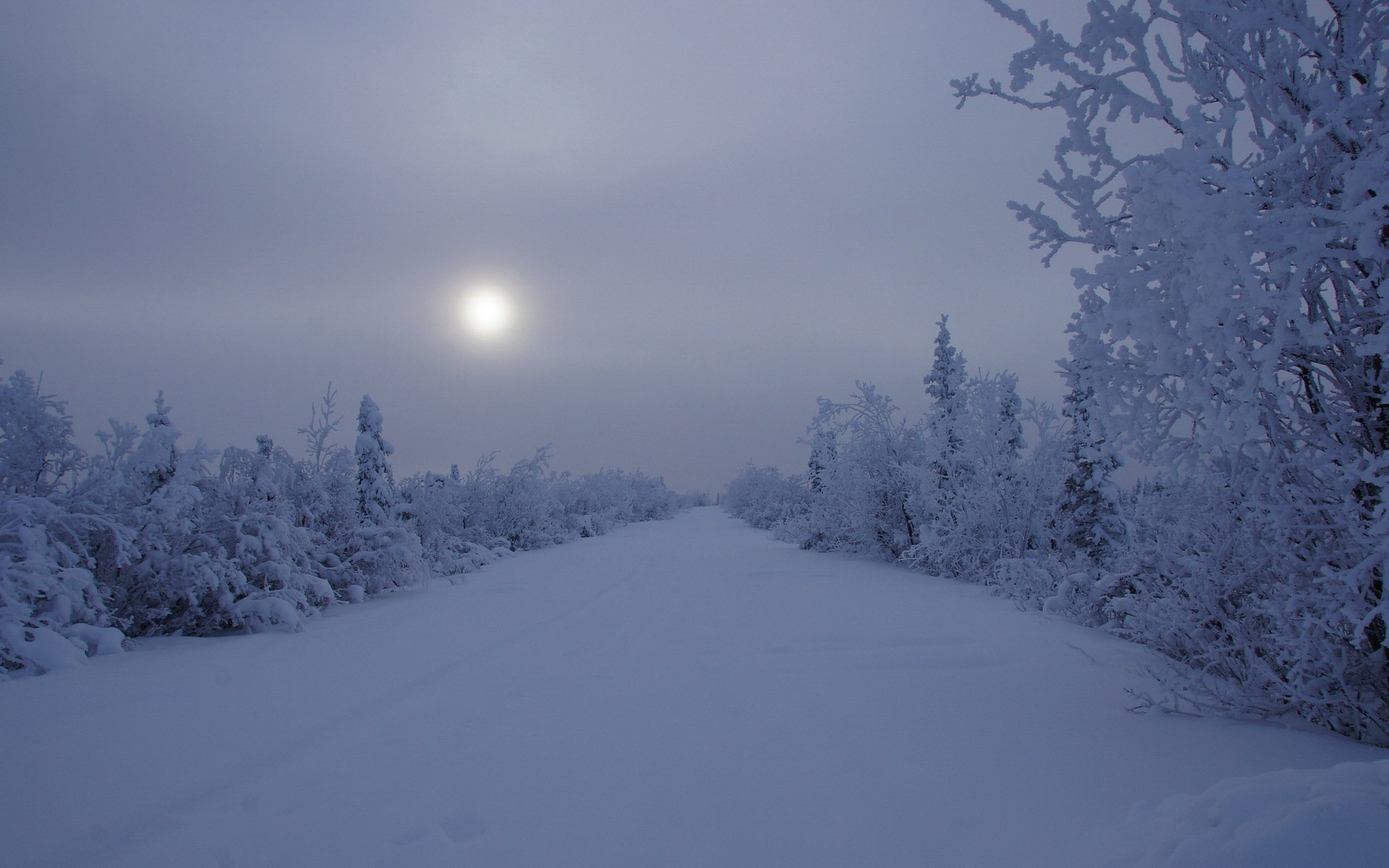 nuit hiver neige paysage