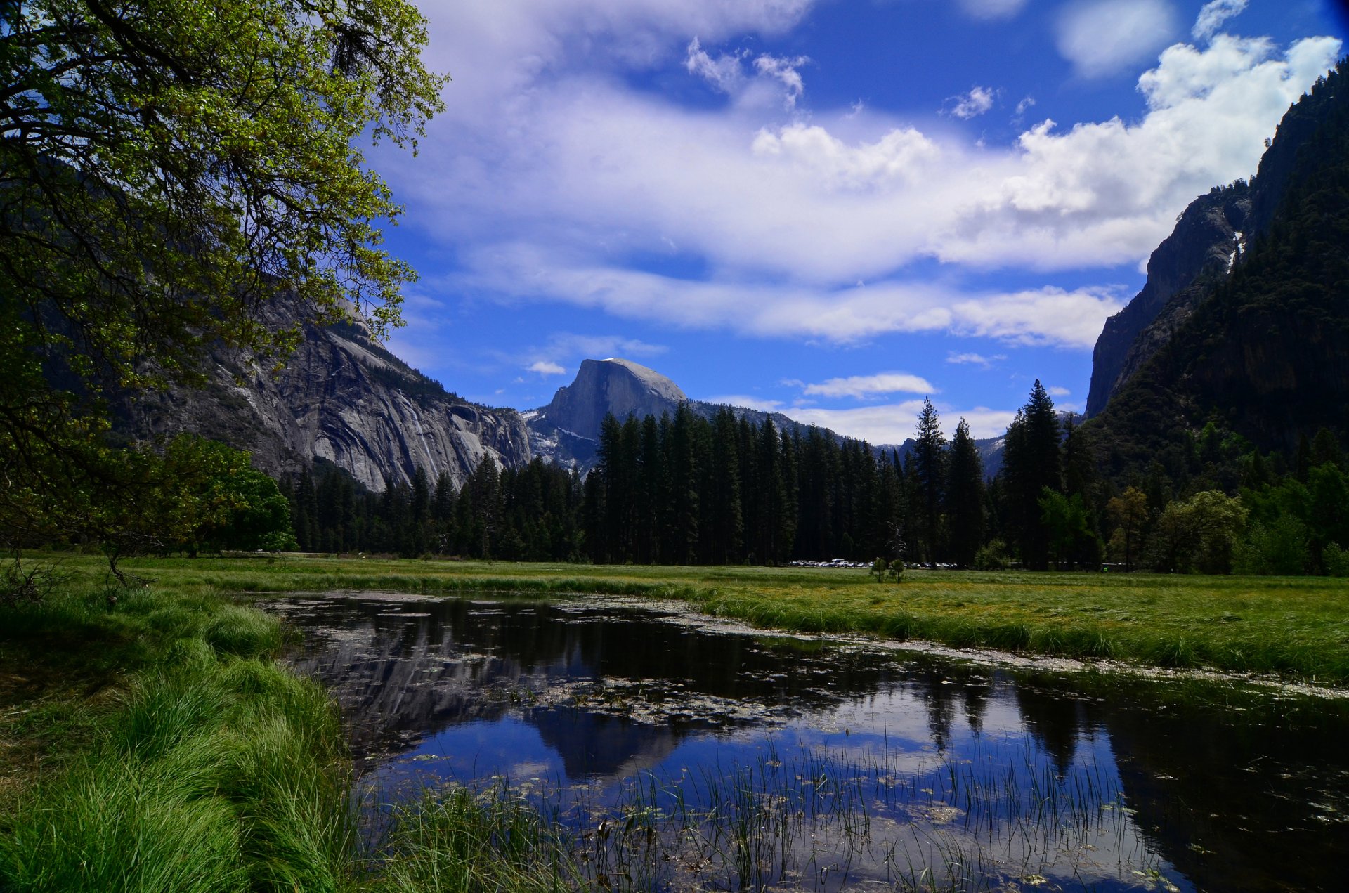 parc national de yosemite californie yosemite rivière montagnes arbres