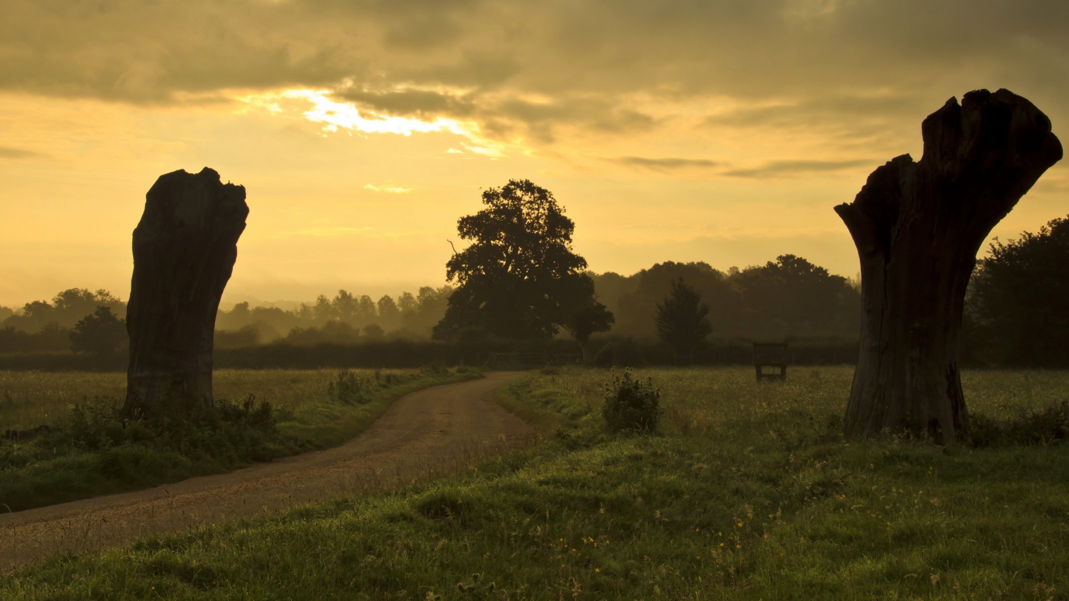 feld baum straße sonnenuntergang landschaft