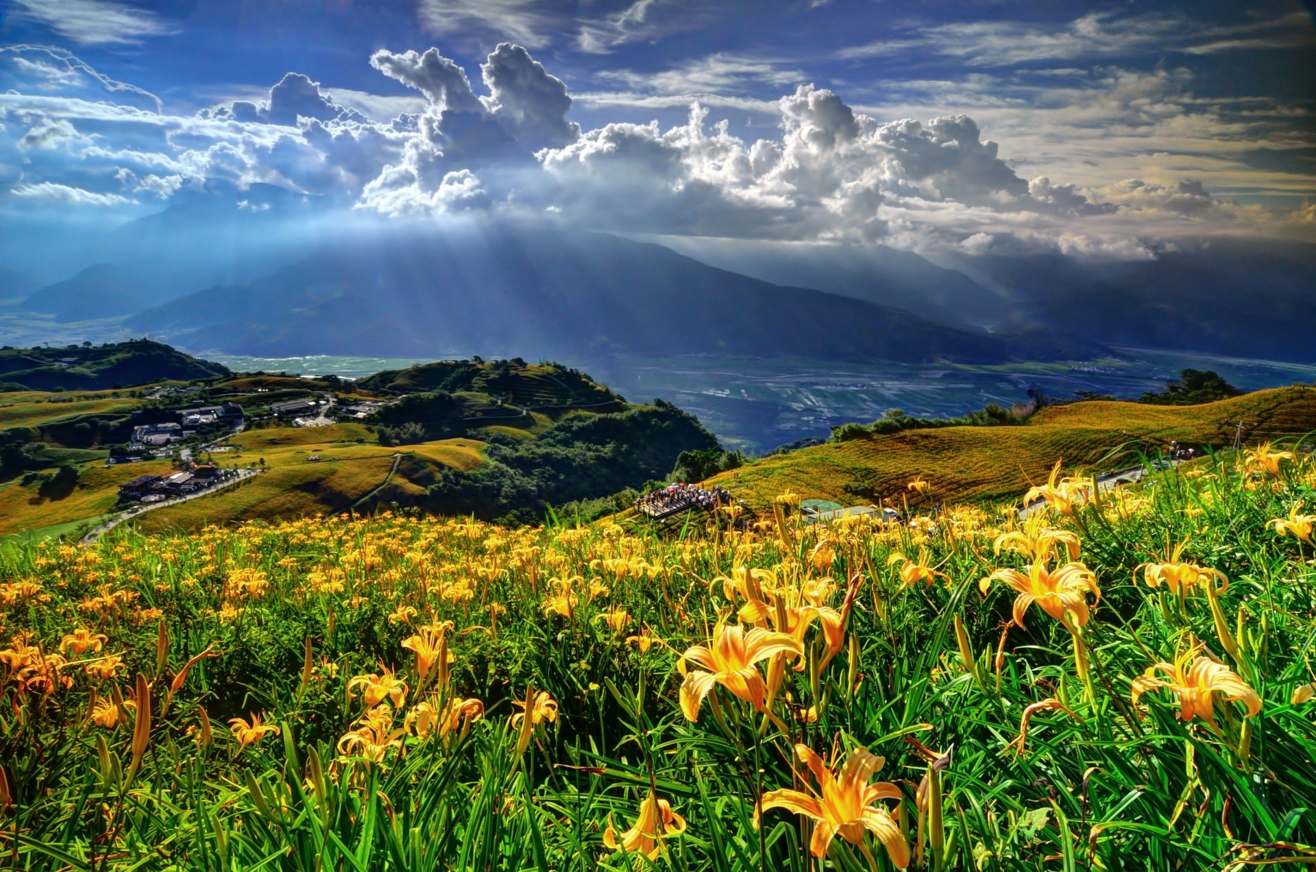 montañas odlaka luz flores paisaje