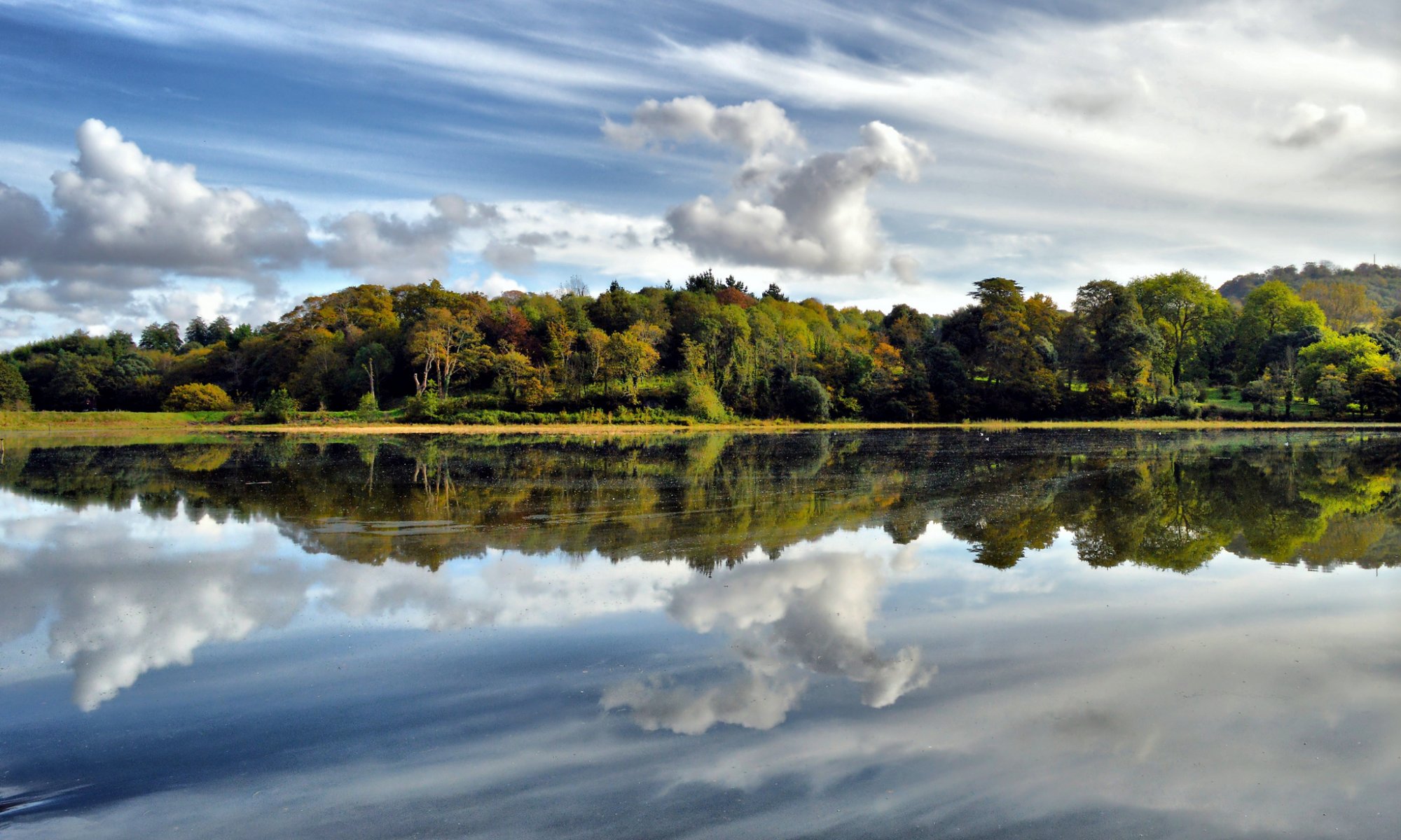 forêt lac nuages réflexion