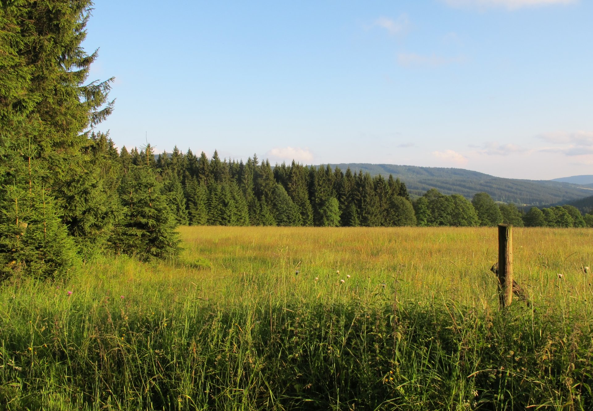 forêt montagnes champ république tchèque šumava narodni park šumava