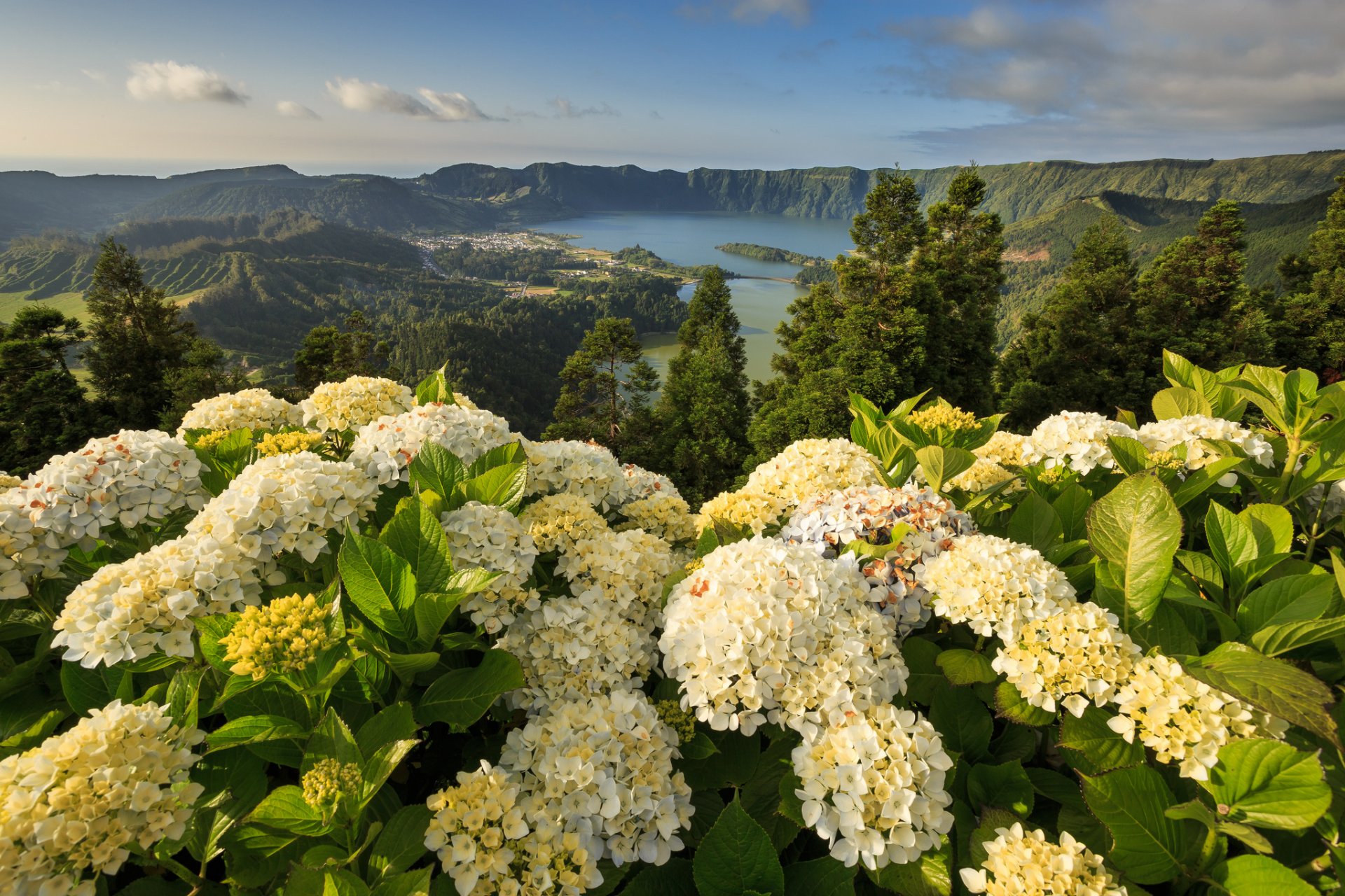 laguna de las siete ciudades mosteiros ponta delgada azores portugal mosteiros hortensias montañas flores