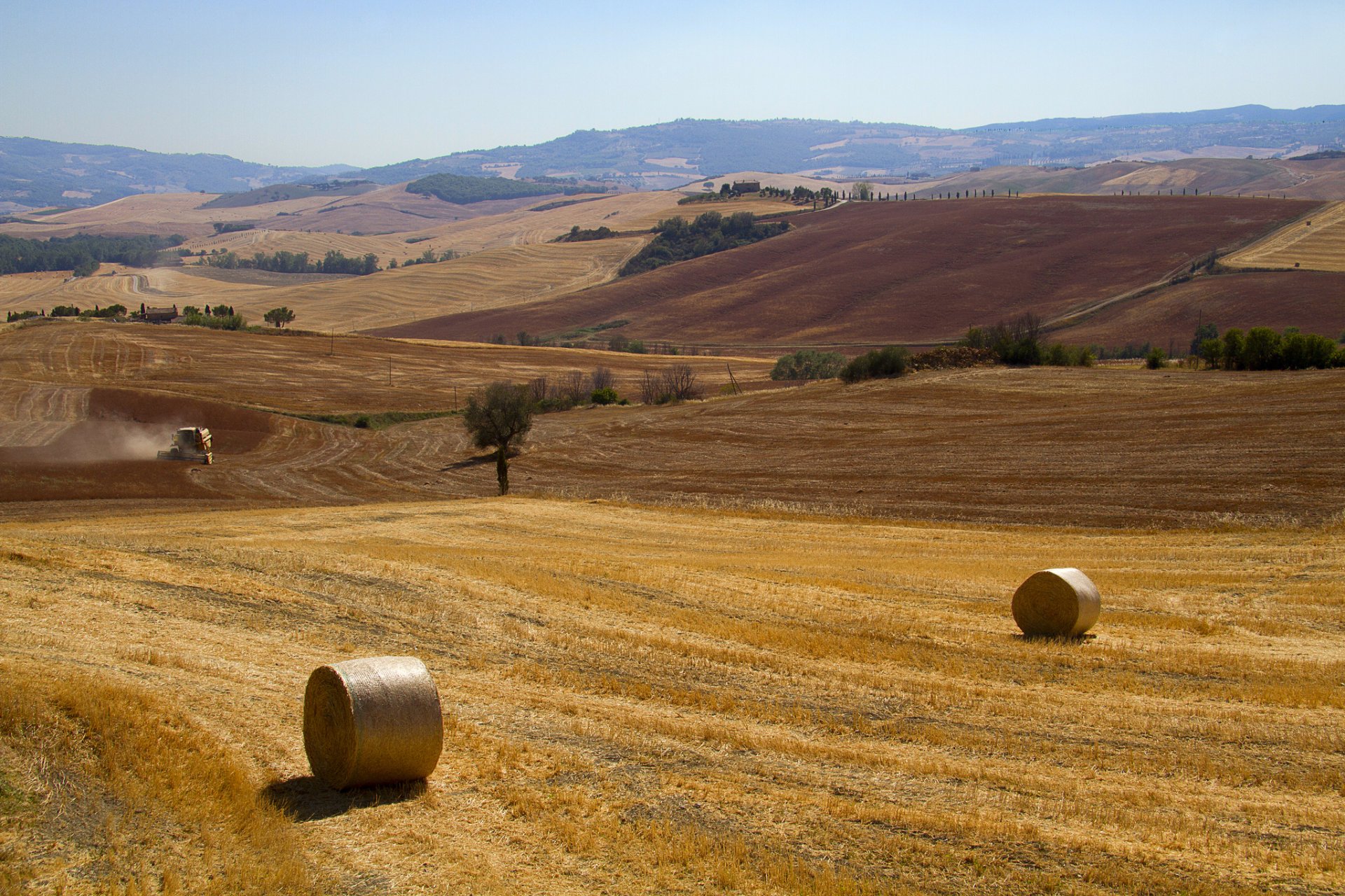 italy tuscany autumn of the field cleaning roll