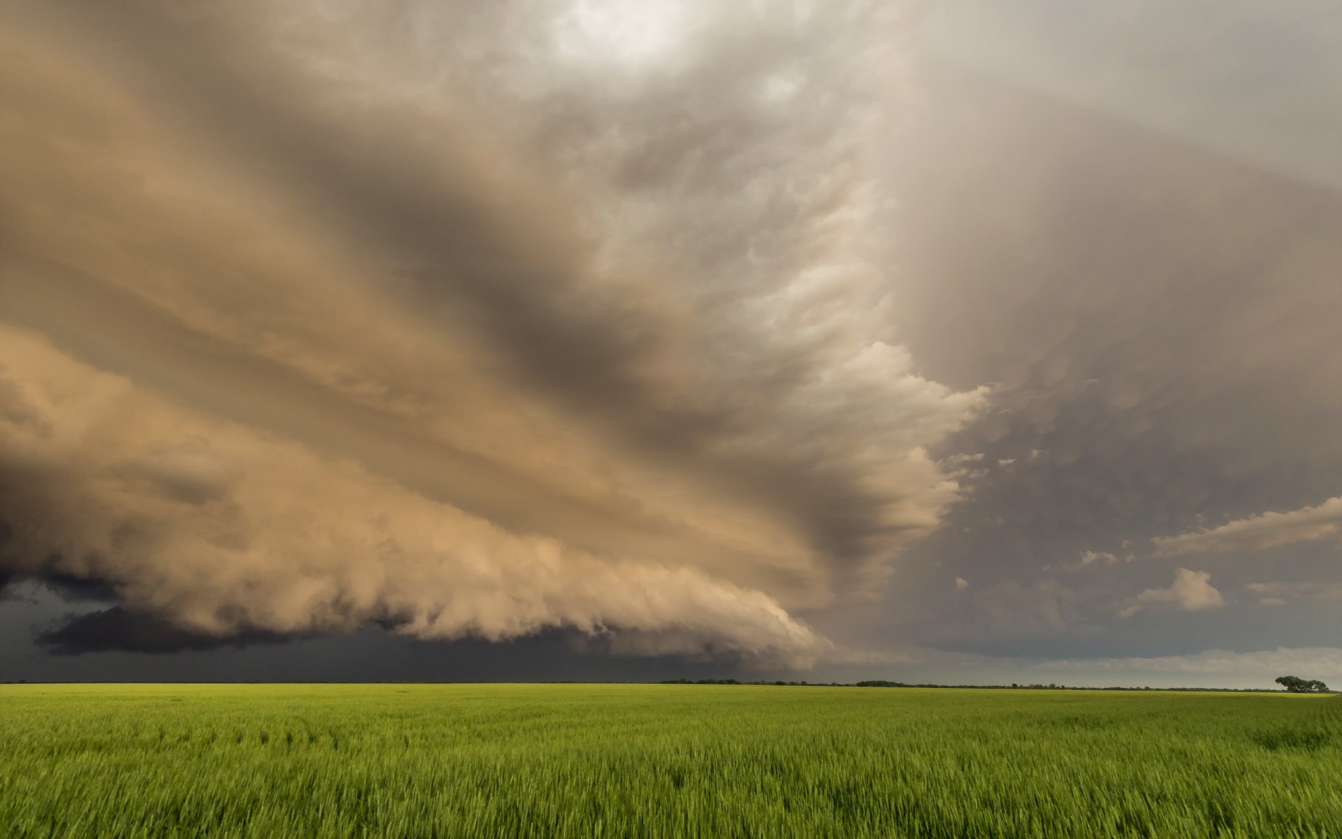 feld himmel landschaft sommer