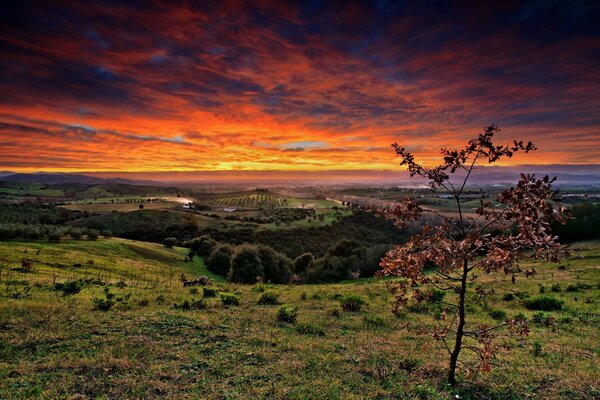 Red sunset over the field