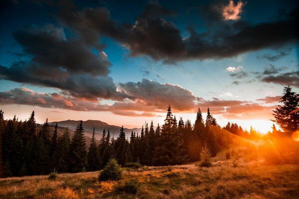 Wald und Berge bei Sonnenuntergang. Landschaft