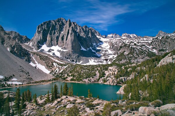 Rocky mountains, forest and quiet lake