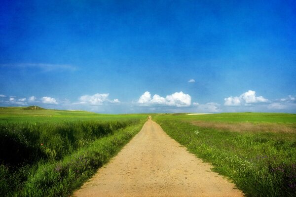 La strada si snoda lungo i campi verdi