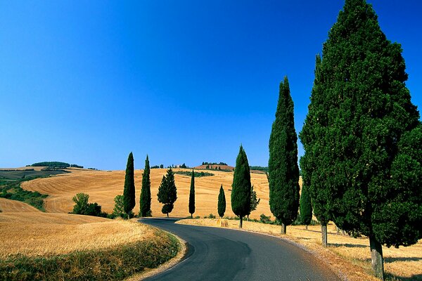 Италия Тоскана фото дорога холмыСельский пейзаж холмы дорога