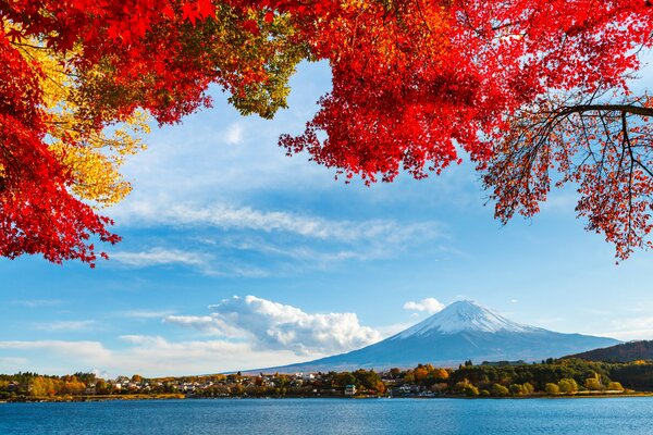 Fujiyama en un día claro, ramas con hojas de otoño