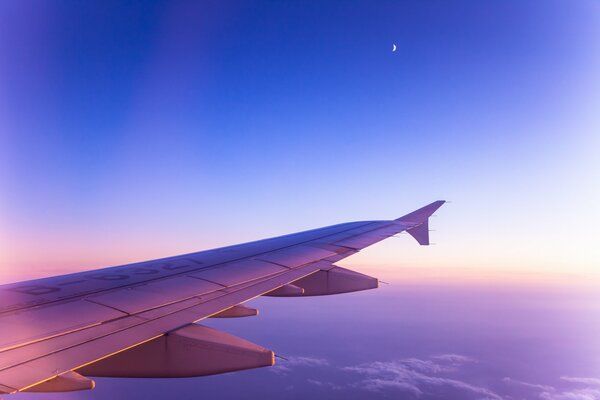 Voler dans le ciel rose de l aube