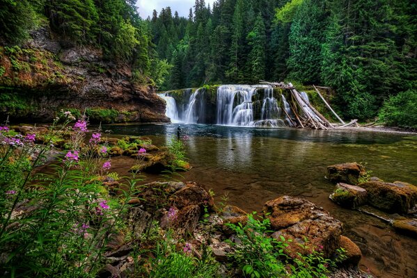 A wonderful waterfall in a quiet secret place