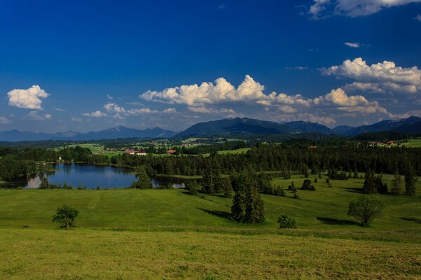 Sommerlandschaft von See und Wald