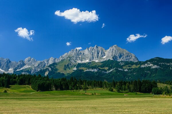 Blick auf die Alpen , Berge und Wälder