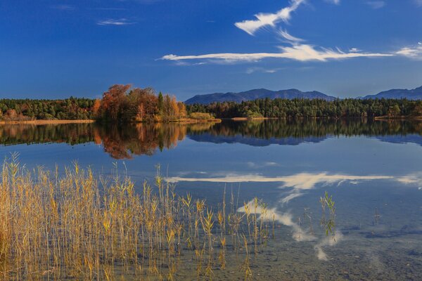Autumn in the Bavarian forest by the lake