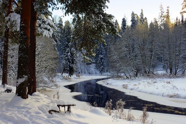 Fiume invernale nella foresta innevata