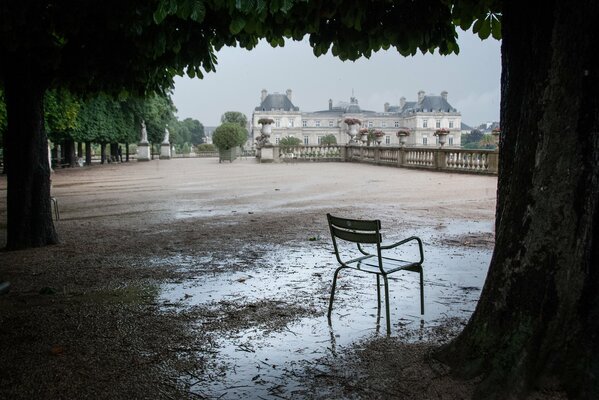 Chaise solitaire sous les arbres après la pluie