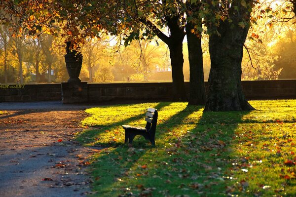 En el otoño en el parque es tan bueno sentarse en un banco