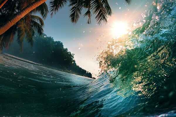 A sea wave in a tropical paradise