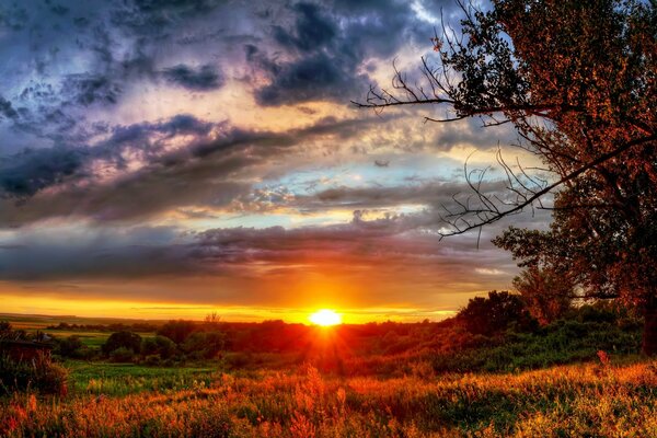 Puesta de sol en el bosque