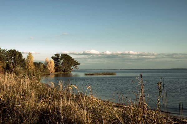 Herbstzeit. Am Ufer des Sees