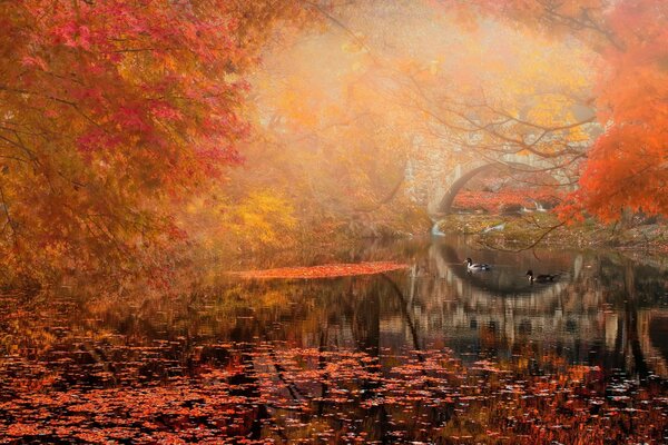 Paysage d automne avec pont et rivière