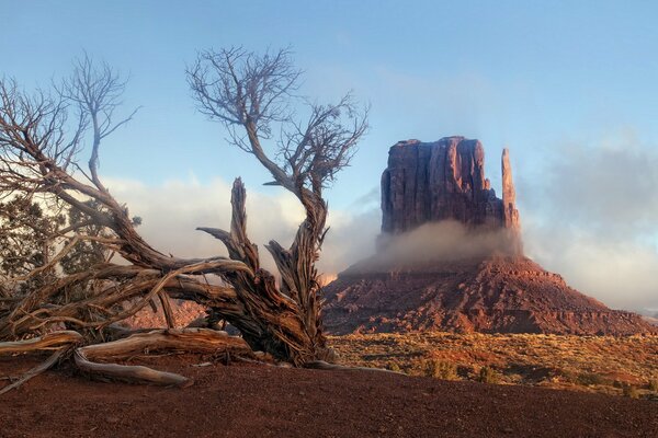 Landschaft des Tals in Arizona Natur