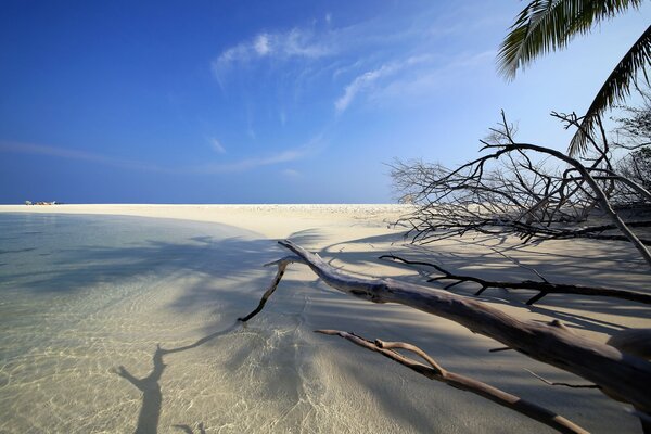 Złoty piasek na plaży Malediwów