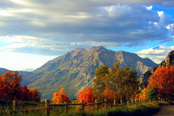 Passeggiata nel parco autunnale di montagna