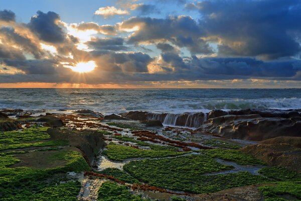 The stone coast of the Pacific Ocean at sunset