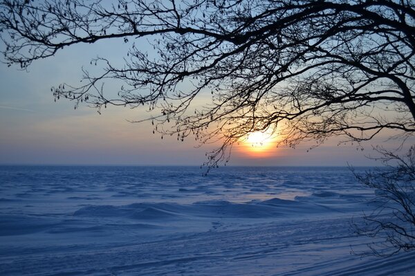 Snowdrifts on the background of sunset