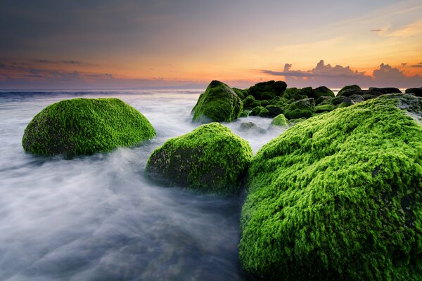Гигантские обросшие водорослями камни в океане