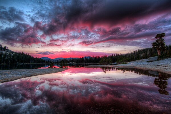 Tramonto viola nel riflesso del fiume della foresta