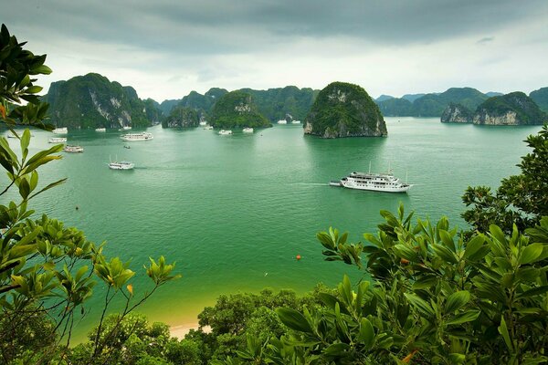 Wietnamska Zielona Zatoka i jachty w oddali
