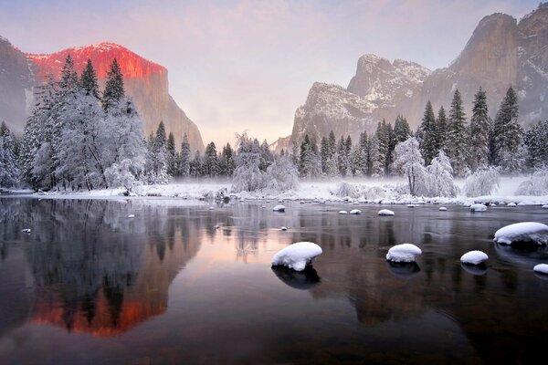 Immagine speculare della foresta invernale sull acqua