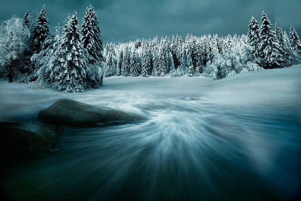 Magical winter forest in snowdrifts