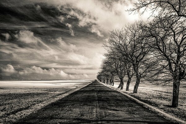 The black-and-white road leading to infinity