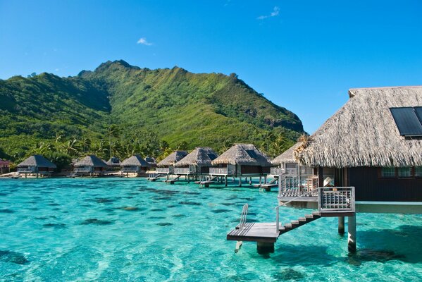 Hotel Bungalow en la soleada Polinesia francesa