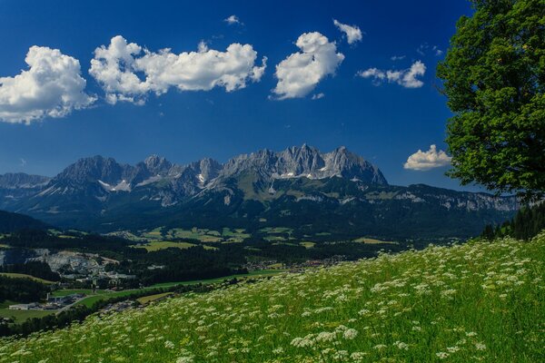 Alpenwiese unter dem Himmel mit Wolken