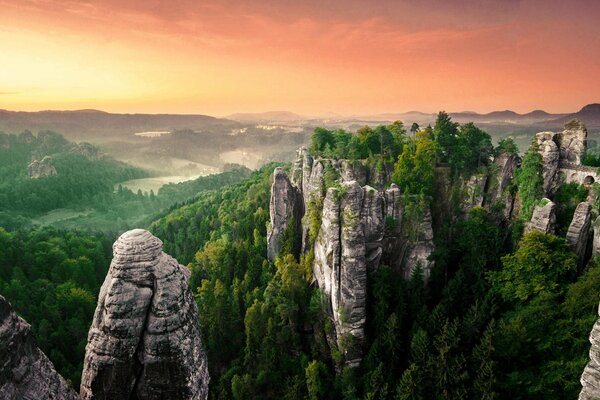 Alba sopra la foresta e le rocce