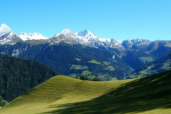 Ladera verde de la montaña en un día soleado