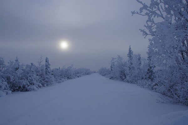 A quiet winter snowy day