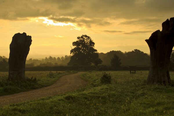 Sunset in the field. Landscape with evening road