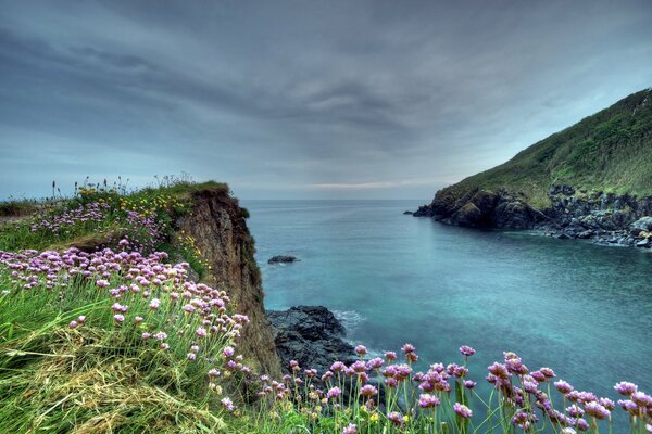 Scogliera di roccia in mare con fiori