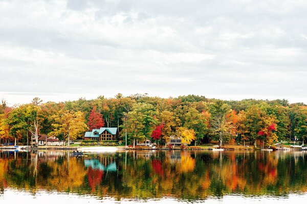 Jezioro w jesiennym lesie i samotny dom
